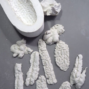 Moules légumes et empreintes en porcelaine – Vegetable molds and porcelain footprints